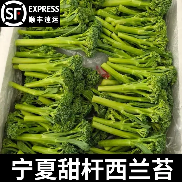 手指西兰花宁夏甜杆西兰苔新鲜现摘西兰花苔芦笋西蓝花苔时令蔬菜