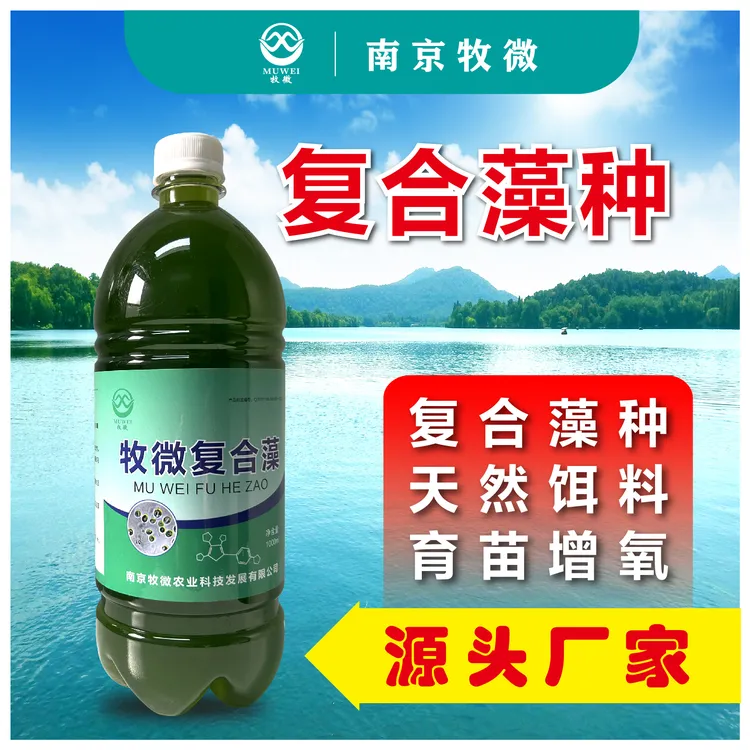 包邮 改良水体 稳定藻相 吸收氨氮 增加溶氧 复合藻 藻种 1箱装