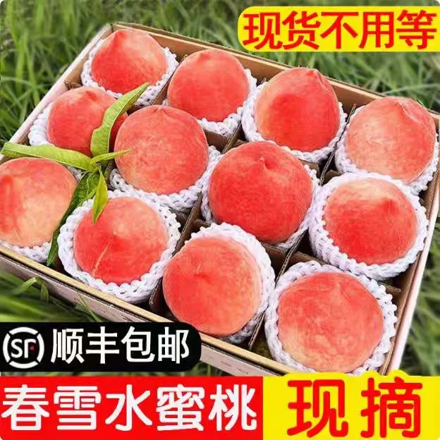 2025头茬新鲜春雪水蜜桃现摘现发脆软甜多汁毛桃当季大果整箱包邮
