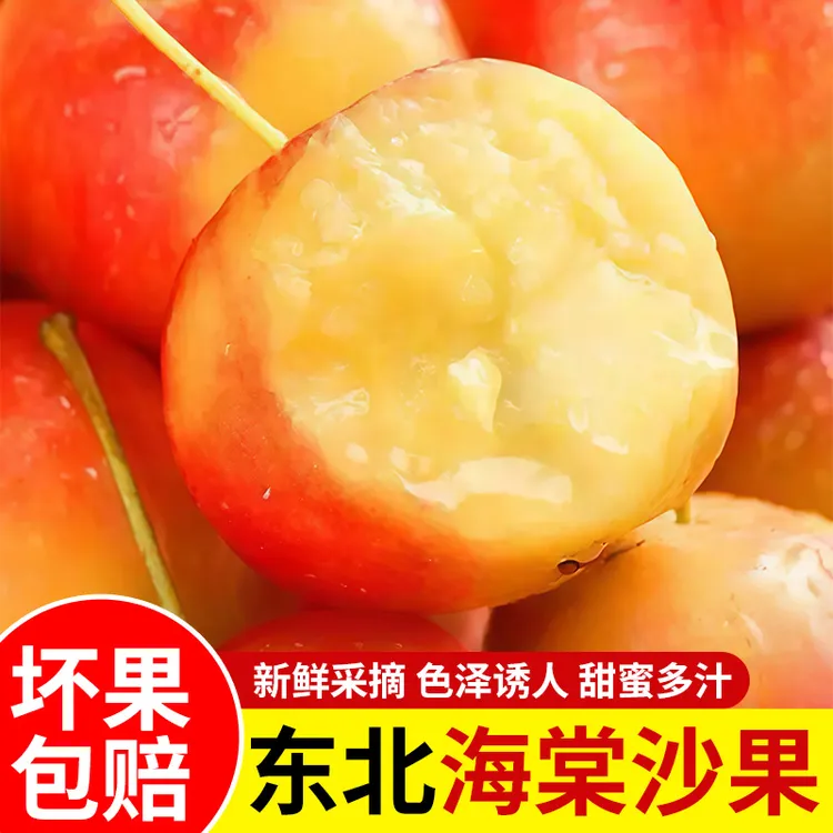 【到手5斤】沙果东北特产海棠果新鲜现摘现发小苹果农家自产