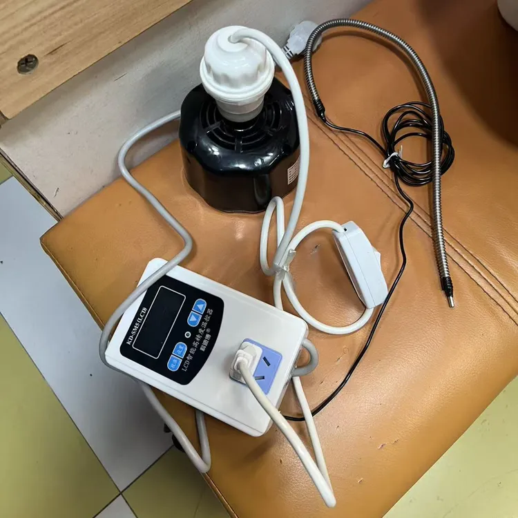 蜜袋鼯花枝鼠刺猬冬季宠物小宠保暖套装温控防咬管暖风风暖风机