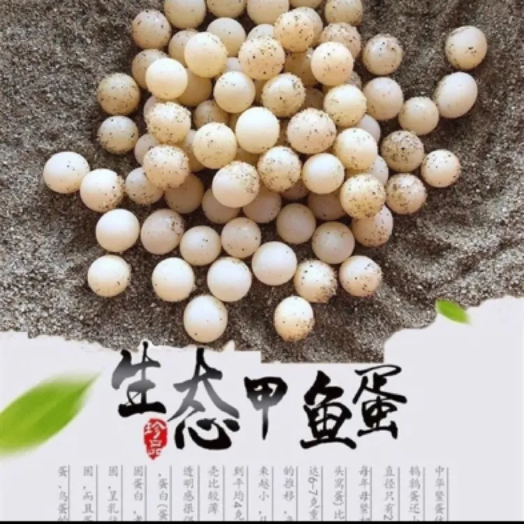 【新鲜甲鱼蛋】100枚送20枚防破损（赠送菜谱）