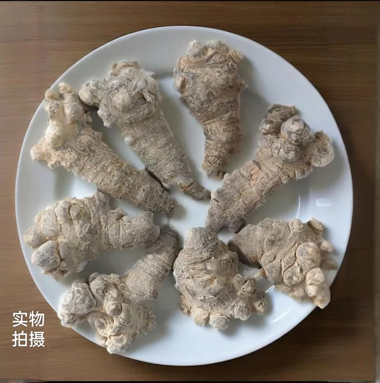 云南文山精选高品质三七滑头春三七水洗本色三七田七头子可代磨粉