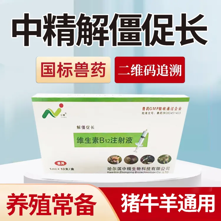 中精解僵促长针一盒用于解僵生长迟缓贫血猪牛羊猫犬兽用国标兽药