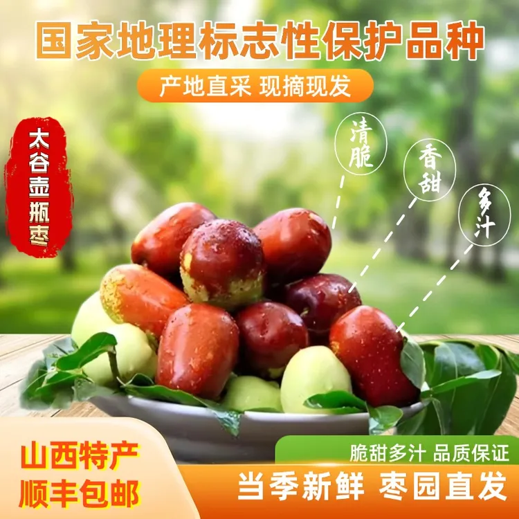 【顺丰京东发货】山西太谷壶瓶枣鲜枣脆枣 一年只吃一个月 汁多味甜