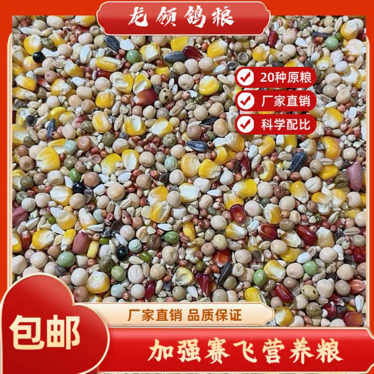 加强赛飞营养粮10/20/50斤包邮赛鸽信鸽种鸽营养粮含玉米