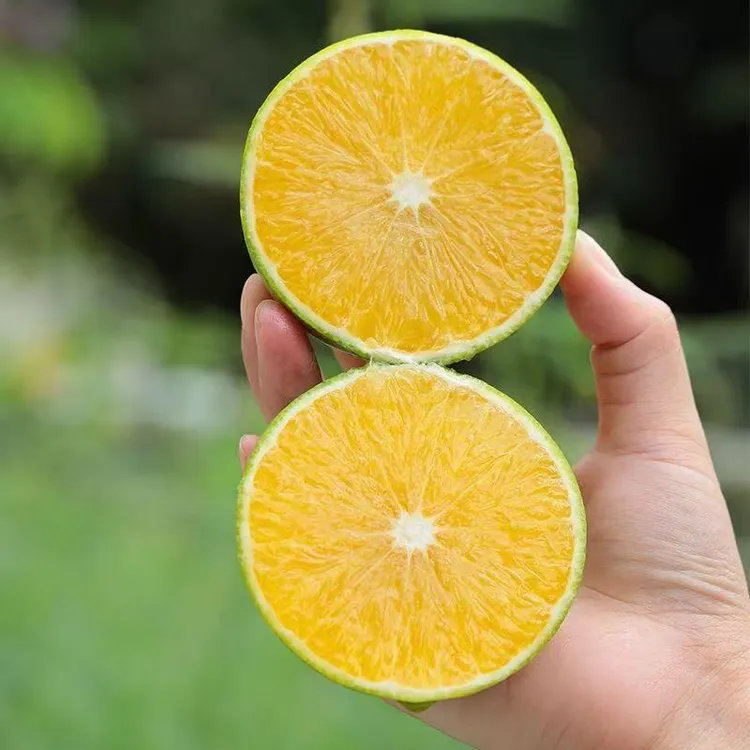 小花自营云南哀牢山冰糖橙清甜多汁应季水果新鲜采摘大果商品图