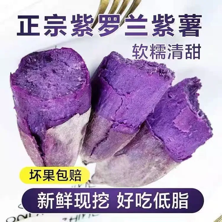 新鲜沙地紫薯香甜粉糯蜜薯地瓜天然当季蔬菜健康粗粮早餐现挖现发