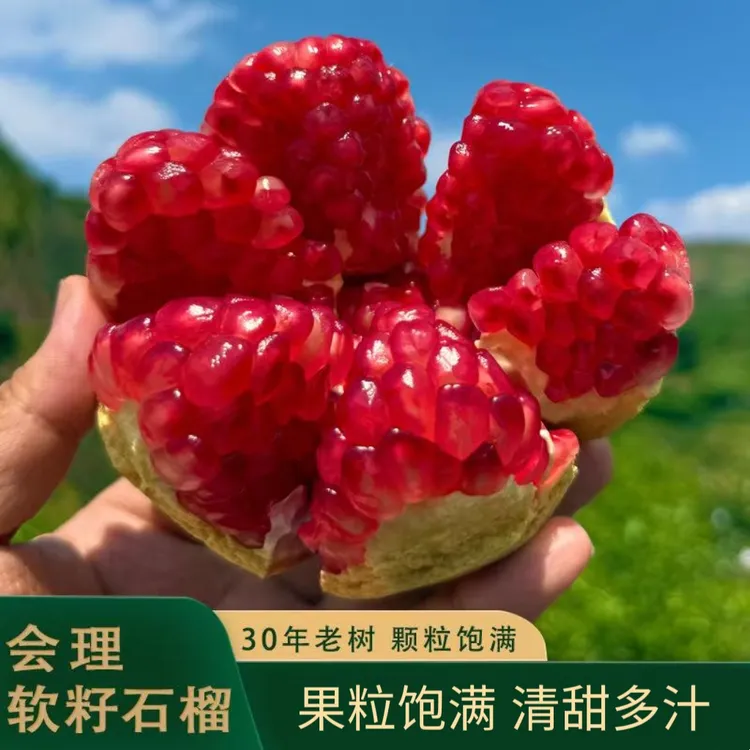 正宗会理突尼斯老树软籽石榴会理应季水果5/9斤/会理/昆明两仓-ZL