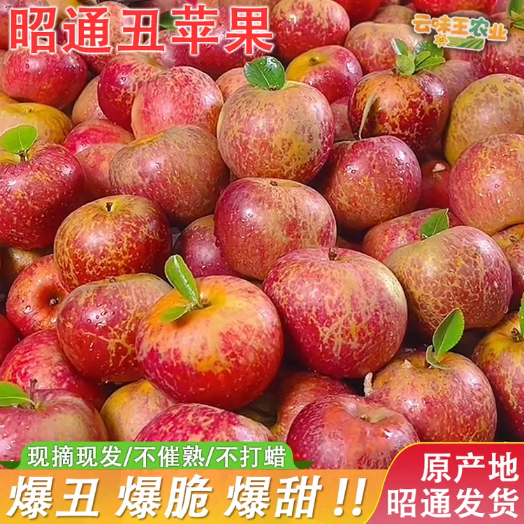 云南昭通冰糖心丑苹果现摘新鲜脆甜多汁肉厚红露红富士水果