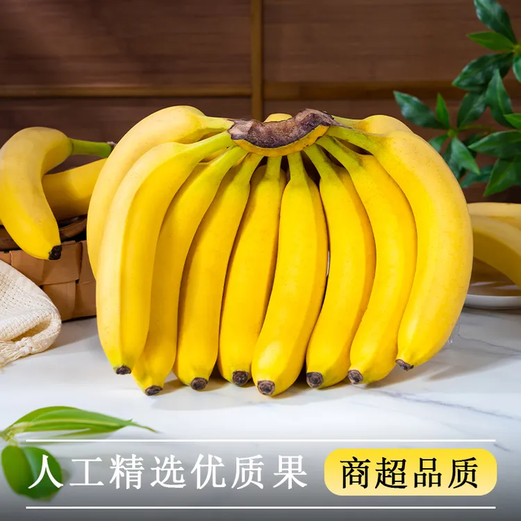 【亏本冲量】广西高山甜香蕉新鲜水果应季香甜软糯芭蕉产地直发粉
