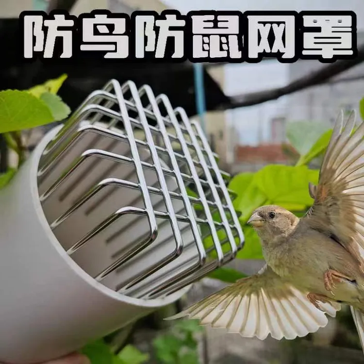 304防鼠鸟网罩卫生间排气管通风口油烟口PVC下水管道排水管网罩