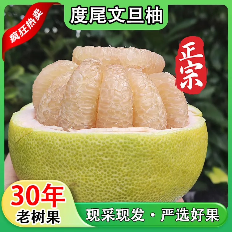 福建仙游度尾柚子文旦柚新鲜当季现摘，果园直采