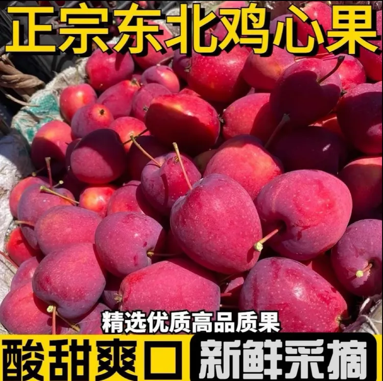 东北正宗鸡心果净重5斤新鲜采摘脆多汁水果