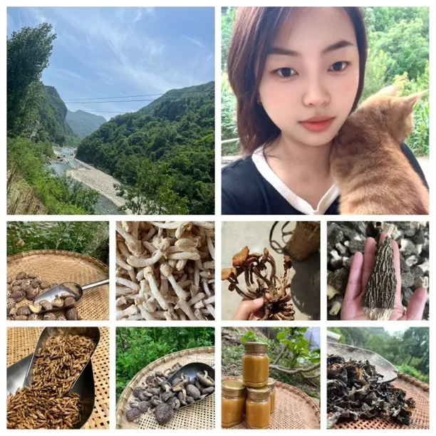 青冈菌｜香菇 ｜花菇｜春木耳｜竹荪｜羊肚菌｜老鹰茶｜土蜂蜜｜青川—直发
