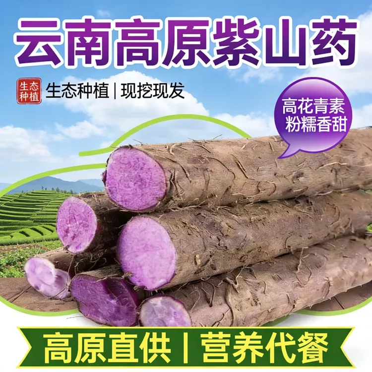 正宗云南紫山药新鲜蔬菜非铁棍山药粉糯紫色山药脚板薯高原现挖