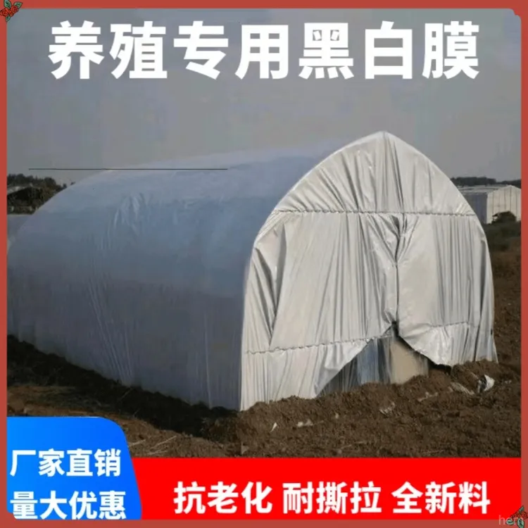 黑白膜进口加厚隔热防晒降温塑料棚膜养殖专用加厚抗老化养鸡养鸭