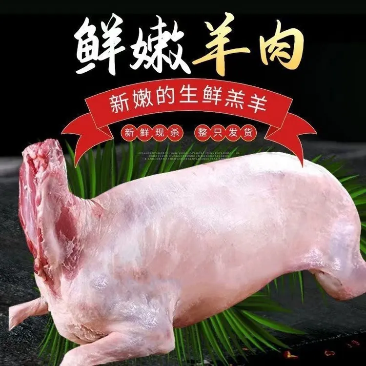 甘肃环县陇峪羊羔肉羊肉跑山羊新鲜现宰同城配送陈家沟羊羔肉顺丰