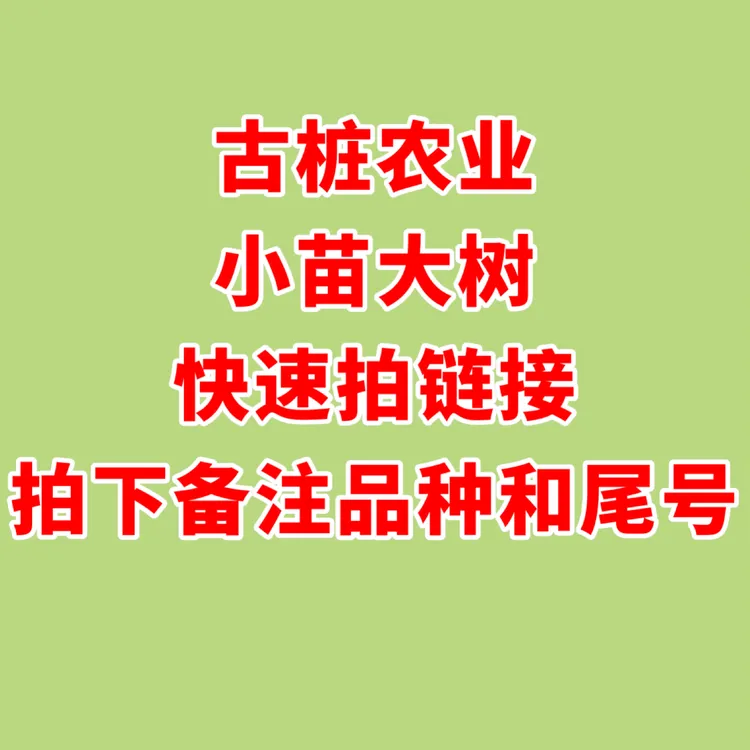 圆叶葡萄苗古桩农业直播间大苗专拍链接拍下备注尾号品种