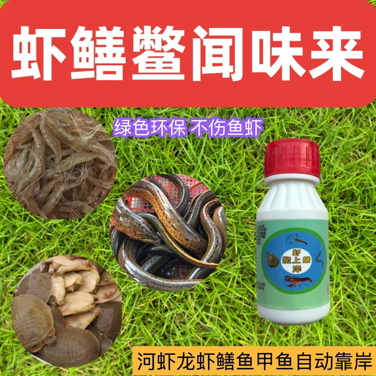 （虾鳝鳖上岸）新款老渔民户外抓虾鳝鳖必备饵料