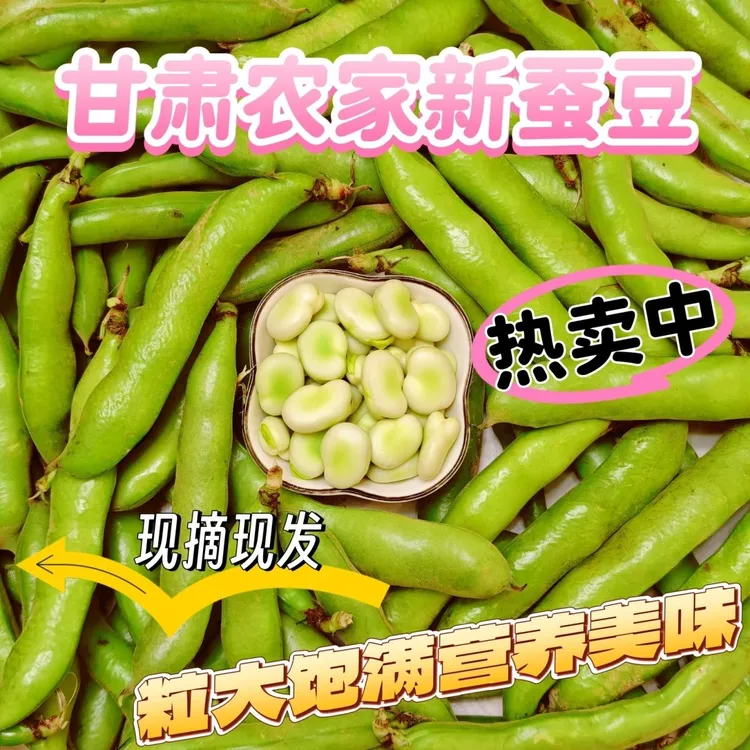 2025应季蚕豆角新鲜带壳营养蚕豆胡豆角蚕豆夹蚕豆新鲜早餐带壳角