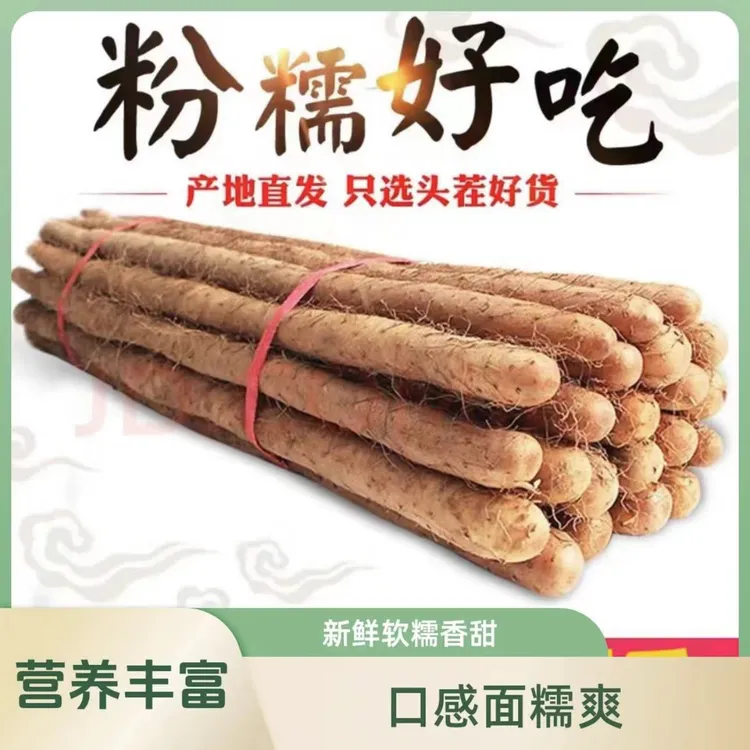 【精选铁棍】正宗铁棍山药粉糯香甜新鲜营养健康煲汤炒菜产地直发