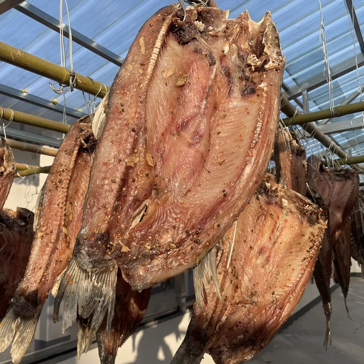 信阳特产自然风干腊鱼 