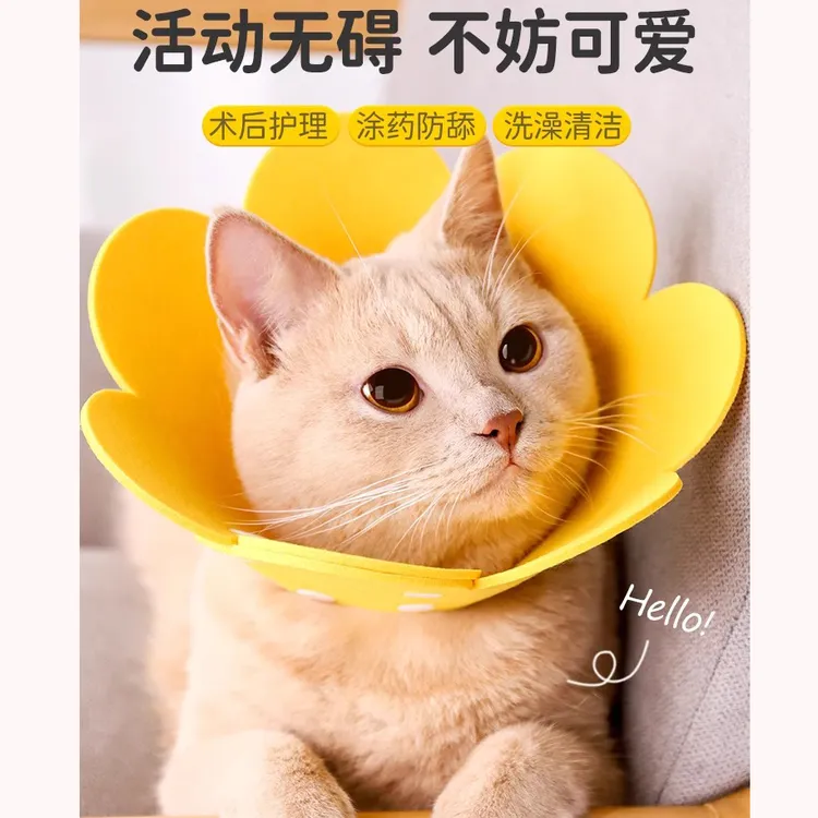 伊丽莎白圈猫咪绝育项圈伊利沙白圈防舔颈圈头套狗狗脖圈宠物用品