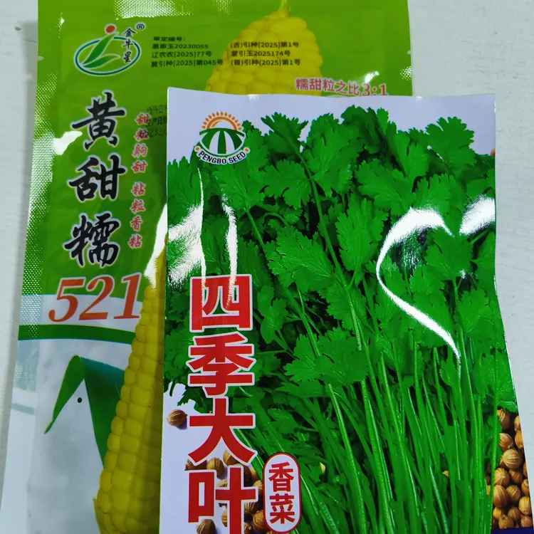 拍香菜送（黄甜糯521）