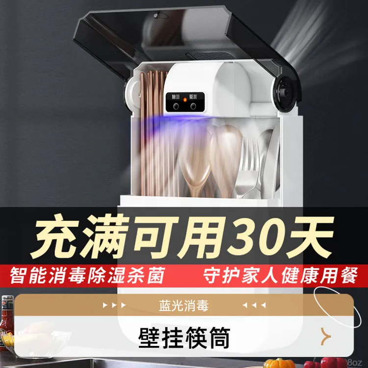 蓝光杀菌壁挂式防潮防霉速干智能消毒筷子筒筷子收纳筒