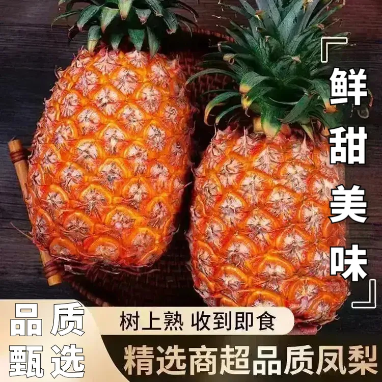 正宗海南金钻凤梨树熟现摘香甜多汁孕妇水果农家自种手撕菠萝EC商品图