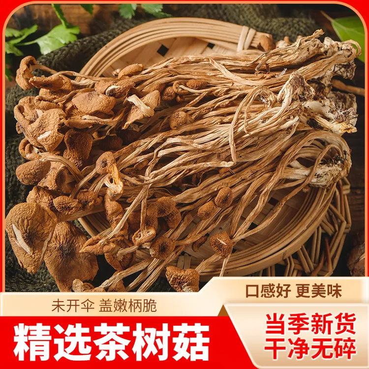 【爆款推荐】醉锅里茶树菇干货厨房家用商用煲汤炒菜新鲜美味食材