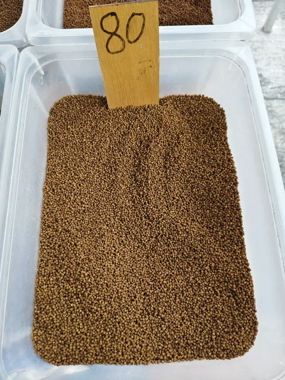 涛哥斗鸟2号料500g