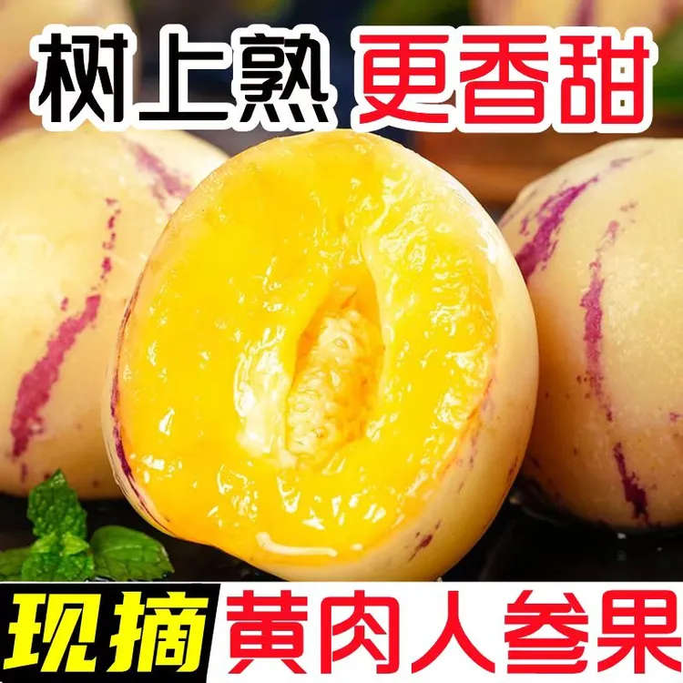 【高兴妈专属】正宗云南石林树上自然成熟人参果圆果黄果清甜多汁