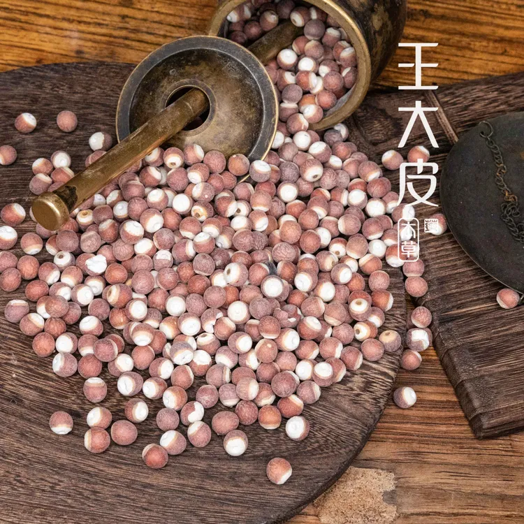 生芡实 鸡米头 道地高品质经方经典优质正宗原产地直邮新鲜