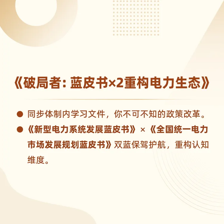 【不卖书】破局者：蓝皮书×2 重构电力生态【购买后留意手机短信息】