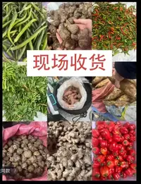 【乡村好货】9湖南乡村美食 现场收货综合链接