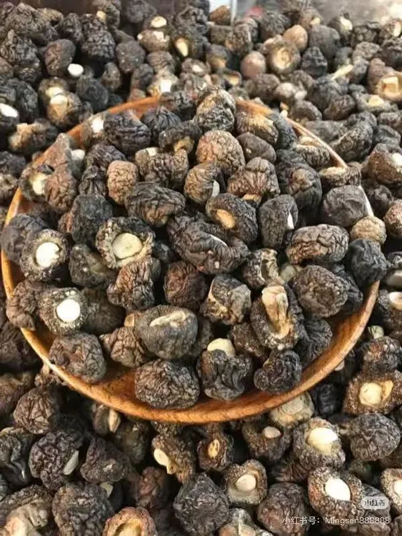 珍珠菇干货无干燥剂肉厚小香菇特产500g