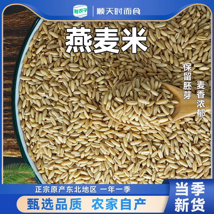 东北燕麦米农家自产五谷杂粮健康粗粮颗粒饱满新米