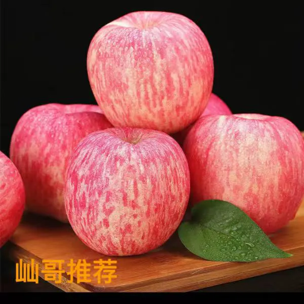 盖县红富士苹果-瑕疵果（介意勿拍） 当季新鲜 酸甜多汁