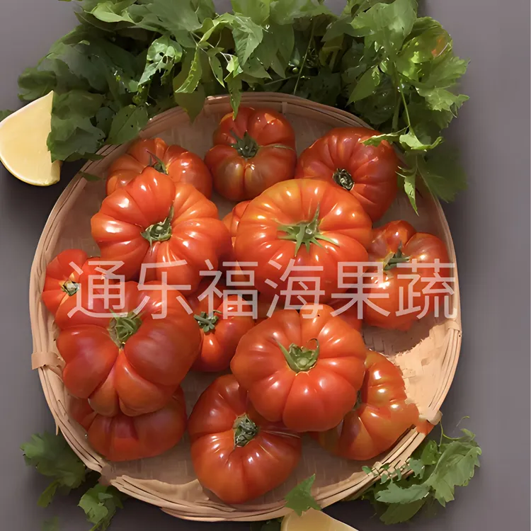 【顺丰陆运包邮】云南老品种马蹄西红柿生态露天种植健康营养