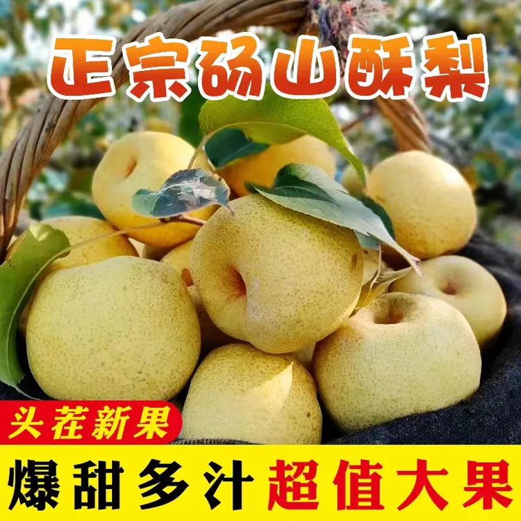 正宗安徽砀山酥梨净重10斤新鲜水果梨子原产地发货脆甜多汁砀山梨
