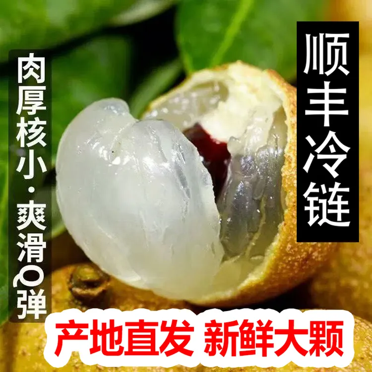 顺丰包邮广东新鲜石硖龙眼现摘现发当季热带水果桂圆非泰国龙眼
