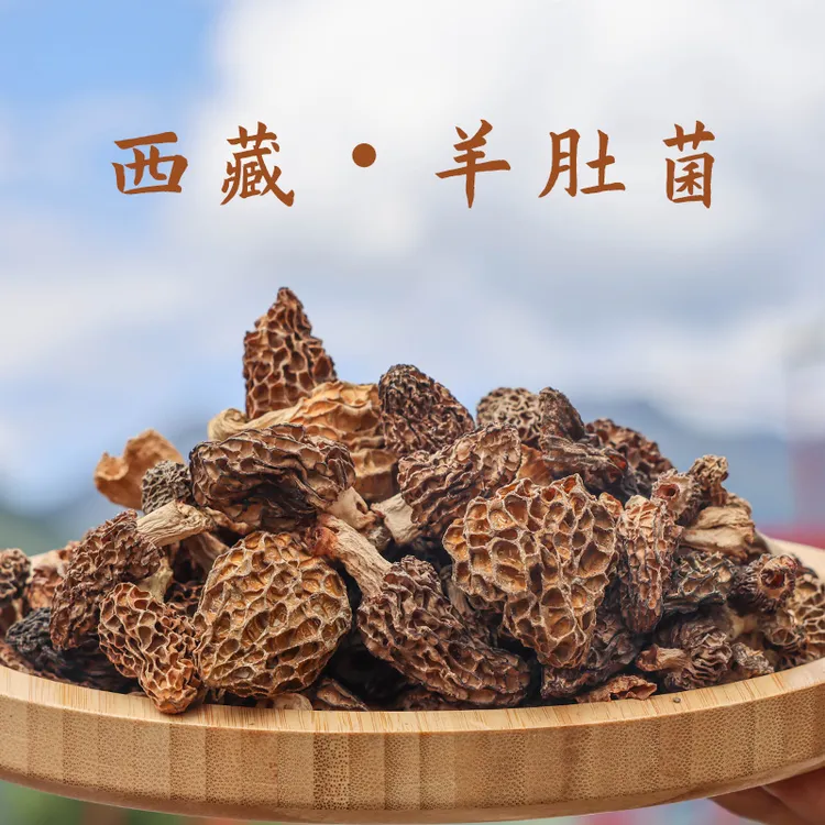 西藏发货高原羊肚菌自然晒干炖汤香味浓郁口感脆爽肉厚