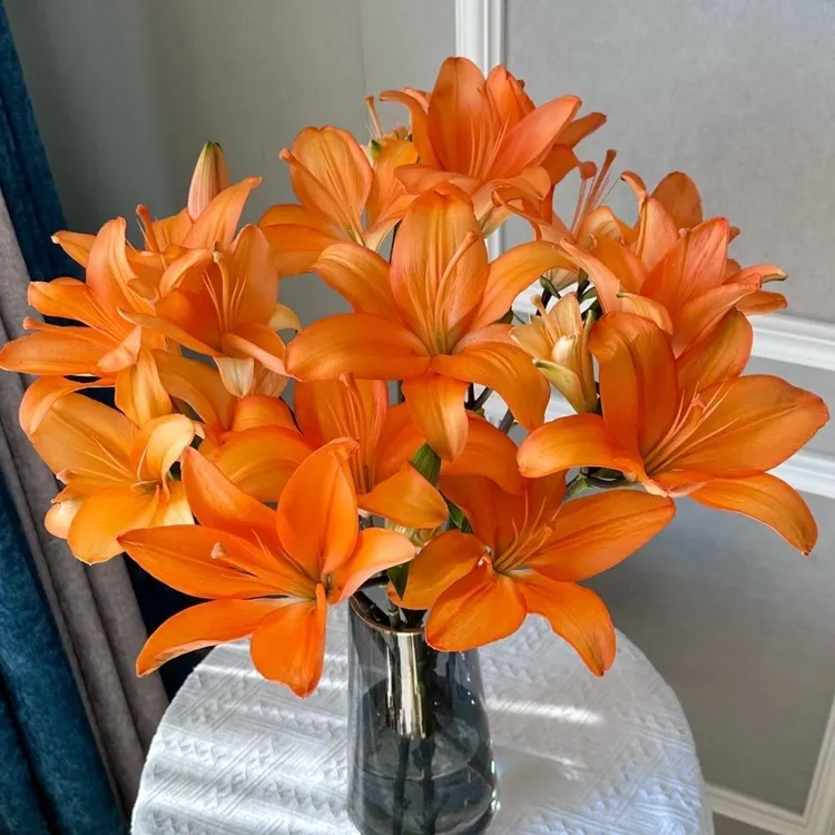 橙色亚洲百合鲜花插花装饰居家办公室水养花束韵达速递20%不售后