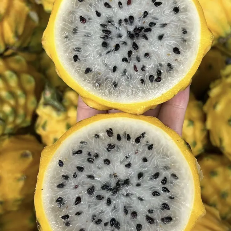 海南果燕窝果新鲜现摘清甜可口水果