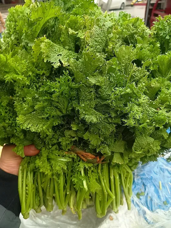 陕西汉中新鲜雪里红浆水菜酸菜腌菜咸菜蔬菜食用