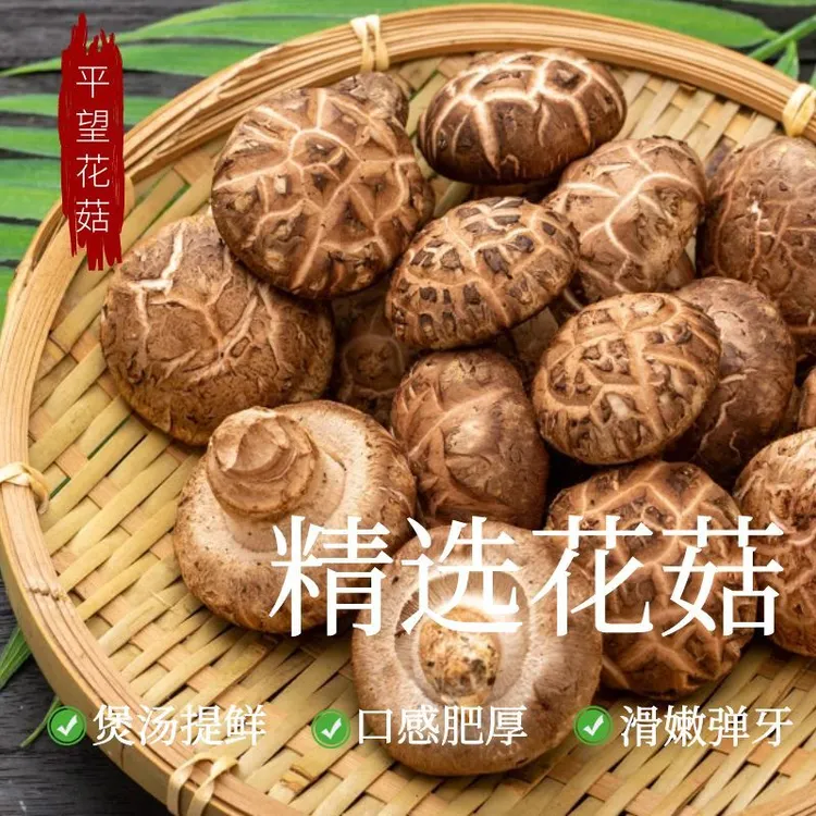 [1级精品现采]新鲜花菇，香菇菌种之星低卡顺丰包邮原产地苏州发货