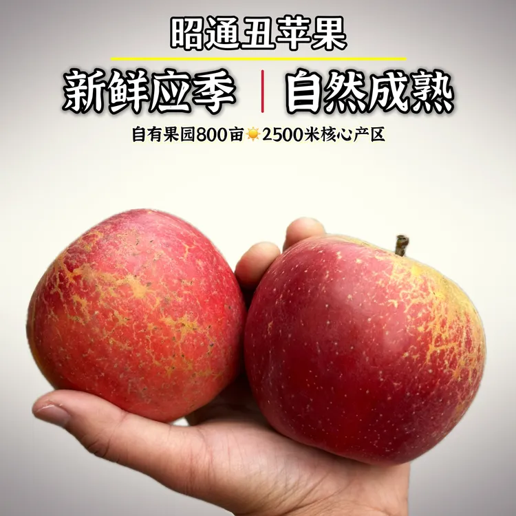 【自家果园】云南昭通冰糖心富士丑苹果应季新鲜孕妇现摘水果整箱