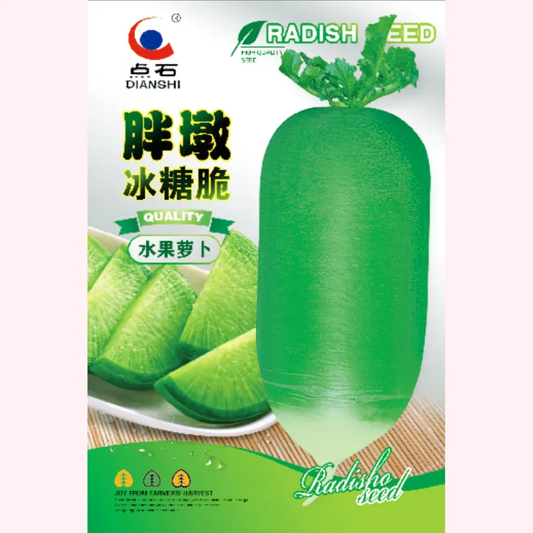 胖墩冰糖脆水果萝卜种子 绿皮绿肉糖心（秋萝卜）